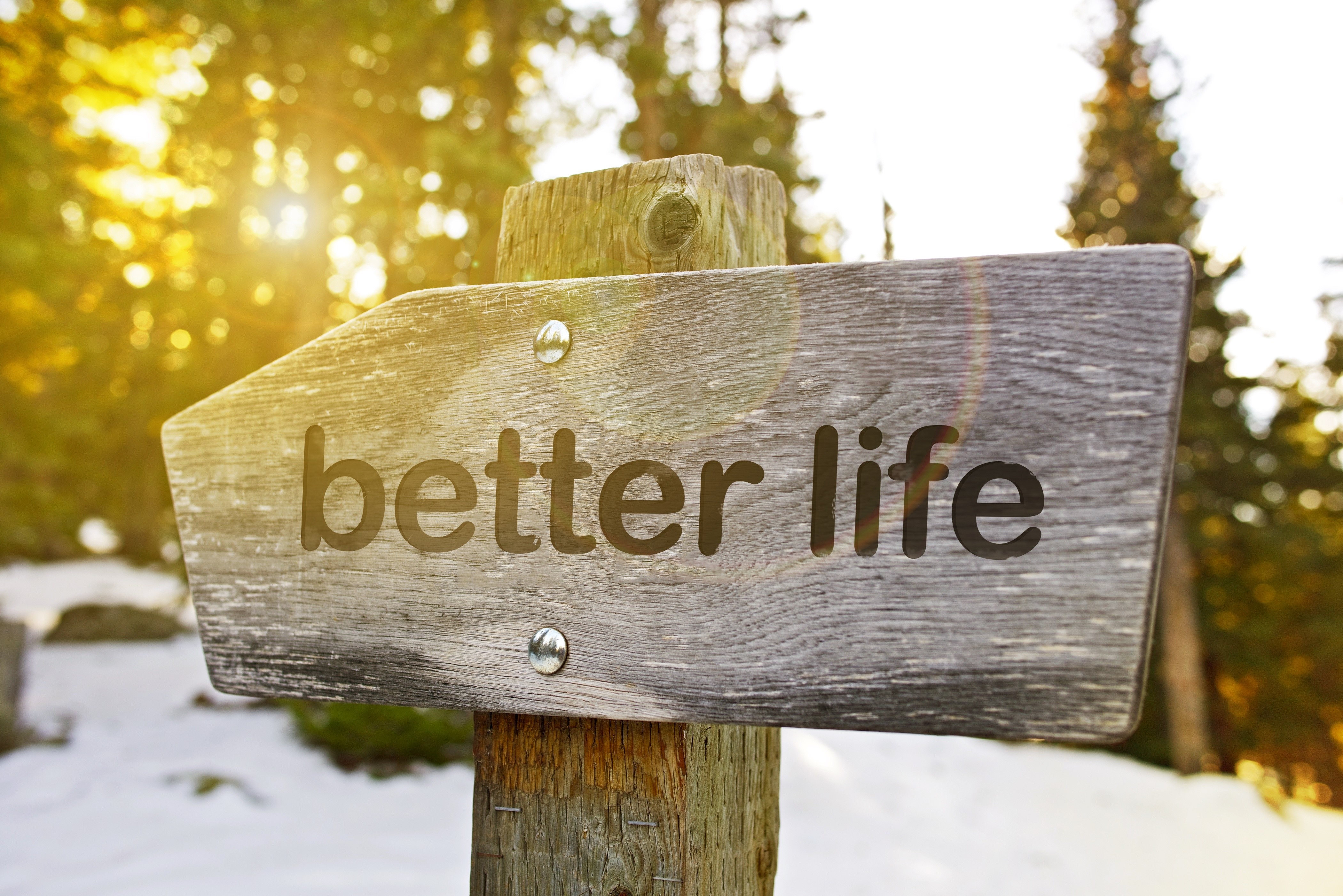 Do your life better. Better Life. Картинку the best of my Life. Do your best to get better картинка. Better than better Life.