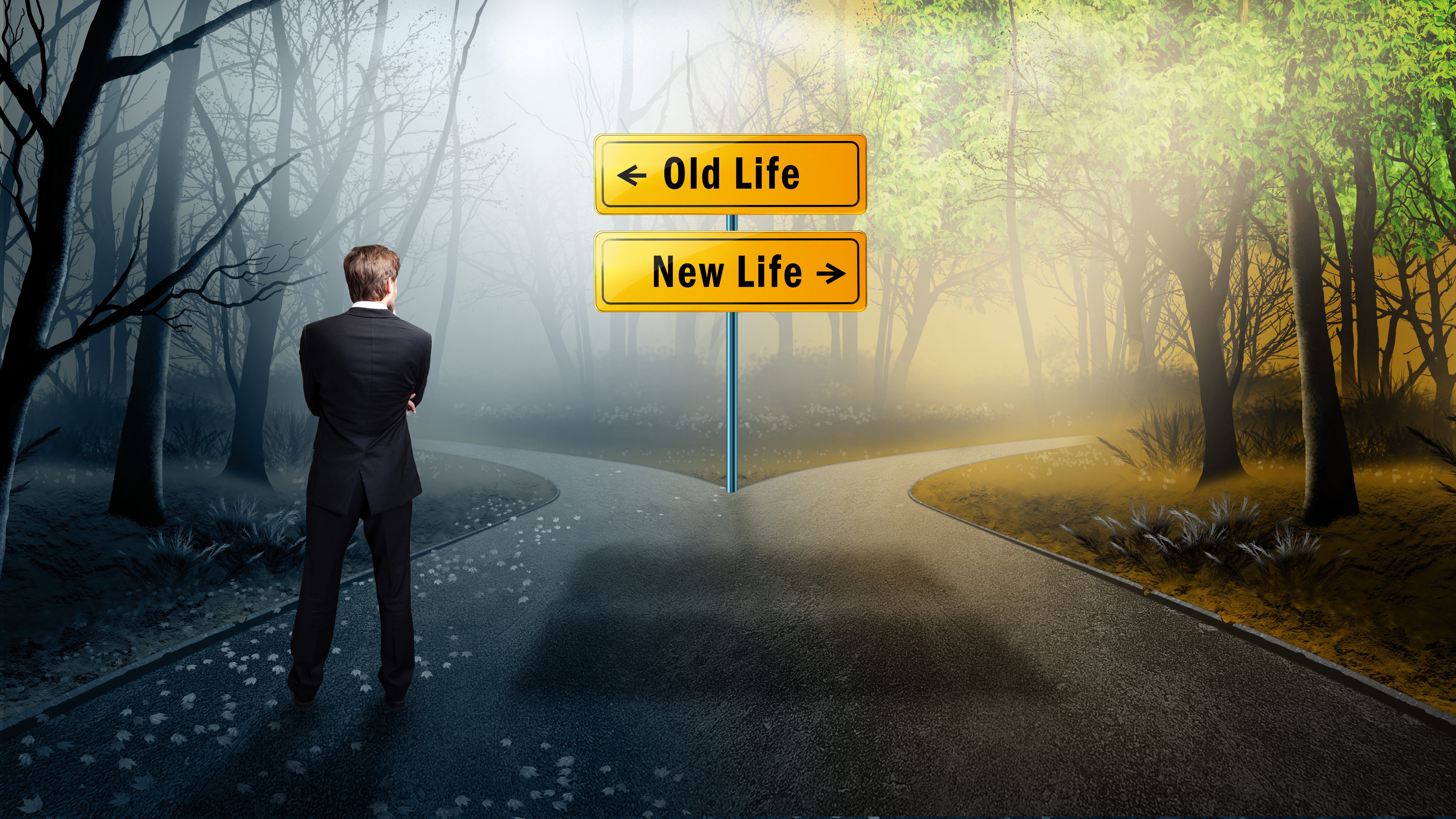 New life have you. New Life картинки. Проект New-Life. Crossroad картинка. Old Life.